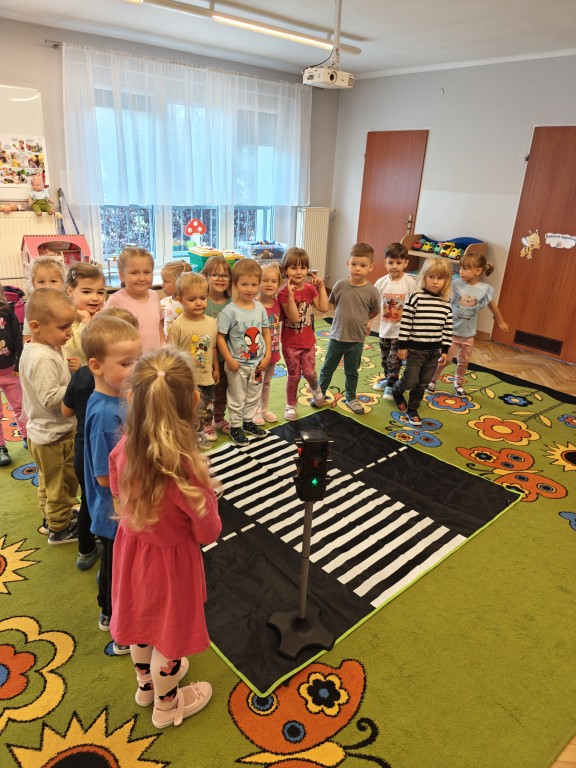 Zasady bezpieczeństwa na drodze