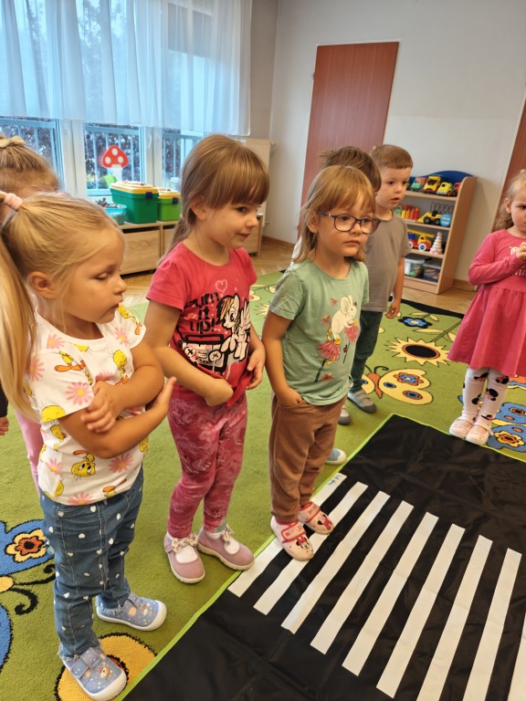 Zasady bezpieczeństwa na drodze